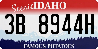 ID license plate 3B8944H