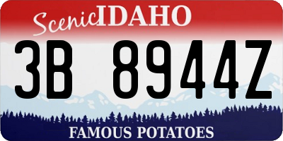 ID license plate 3B8944Z