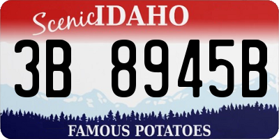 ID license plate 3B8945B
