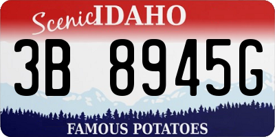 ID license plate 3B8945G