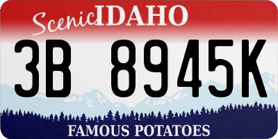 ID license plate 3B8945K