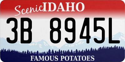 ID license plate 3B8945L