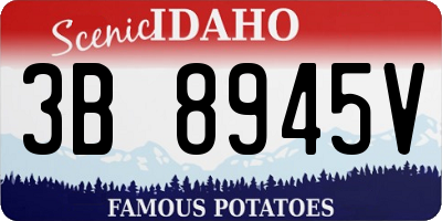 ID license plate 3B8945V