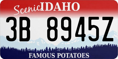 ID license plate 3B8945Z