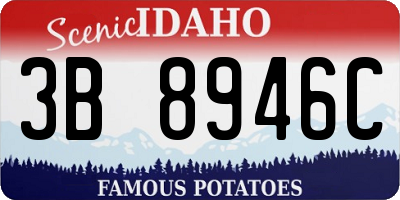 ID license plate 3B8946C