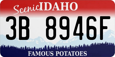 ID license plate 3B8946F