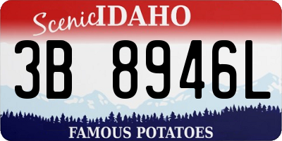 ID license plate 3B8946L