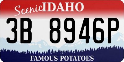 ID license plate 3B8946P