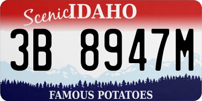 ID license plate 3B8947M