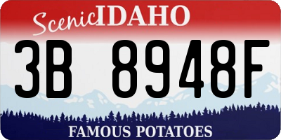 ID license plate 3B8948F