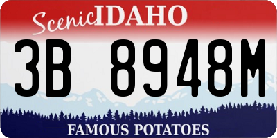 ID license plate 3B8948M