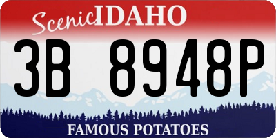 ID license plate 3B8948P