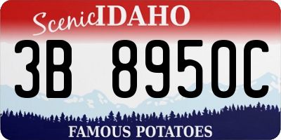 ID license plate 3B8950C