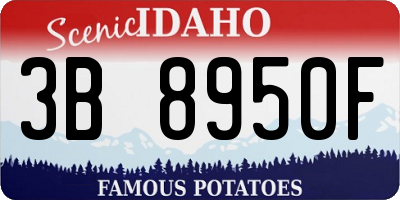 ID license plate 3B8950F