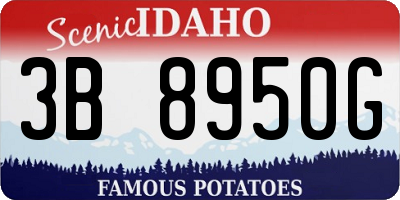 ID license plate 3B8950G