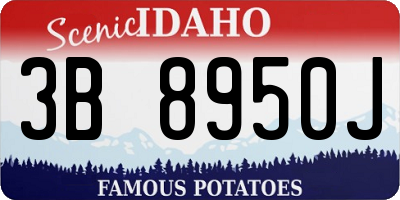 ID license plate 3B8950J