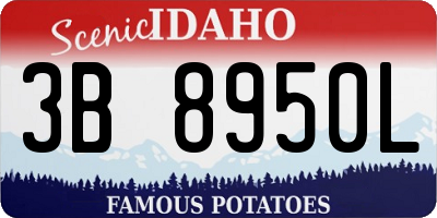 ID license plate 3B8950L