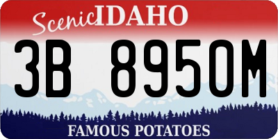 ID license plate 3B8950M