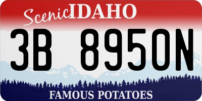 ID license plate 3B8950N