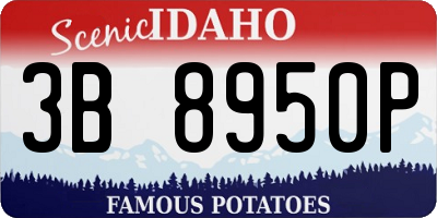 ID license plate 3B8950P