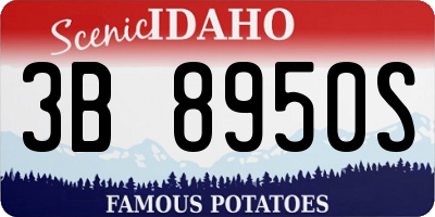 ID license plate 3B8950S
