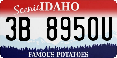 ID license plate 3B8950U