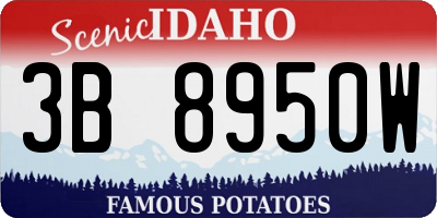 ID license plate 3B8950W
