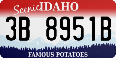 ID license plate 3B8951B