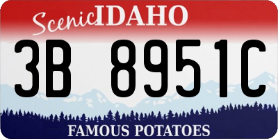 ID license plate 3B8951C
