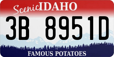ID license plate 3B8951D