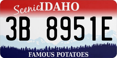 ID license plate 3B8951E