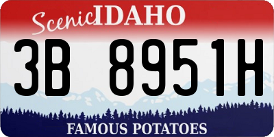 ID license plate 3B8951H