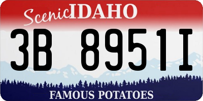 ID license plate 3B8951I