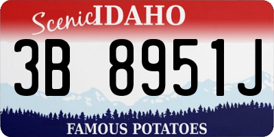 ID license plate 3B8951J