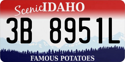 ID license plate 3B8951L