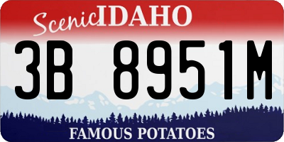 ID license plate 3B8951M
