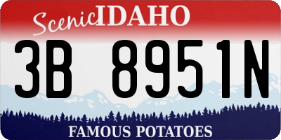 ID license plate 3B8951N