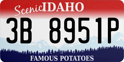 ID license plate 3B8951P