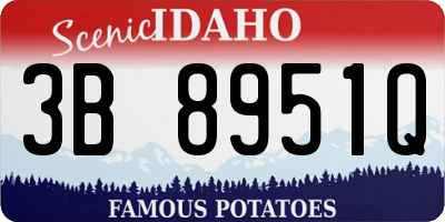 ID license plate 3B8951Q