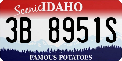 ID license plate 3B8951S