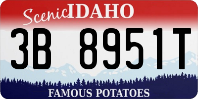 ID license plate 3B8951T