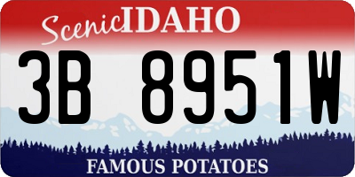 ID license plate 3B8951W