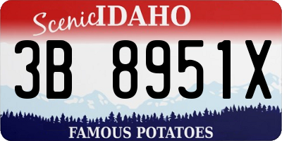 ID license plate 3B8951X