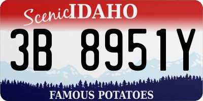 ID license plate 3B8951Y