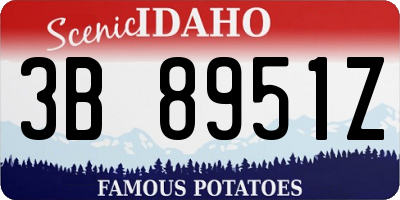 ID license plate 3B8951Z