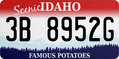 ID license plate 3B8952G