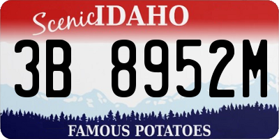 ID license plate 3B8952M