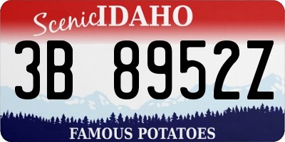 ID license plate 3B8952Z