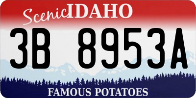 ID license plate 3B8953A