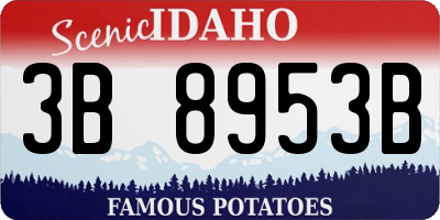 ID license plate 3B8953B